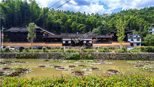 隆回鸭田战斗指挥所院前，一口藕塘