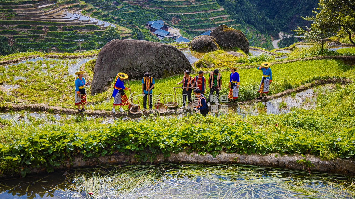 田里挖泥巴涂媒人公-隆回花瑶婚俗活动