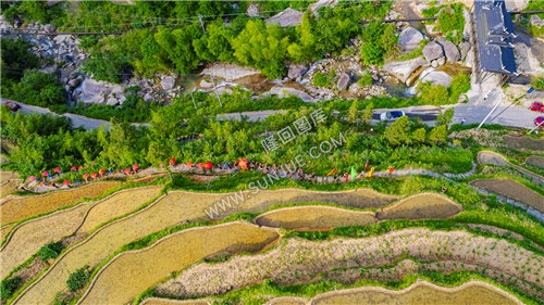 隆回花瑶婚俗活动