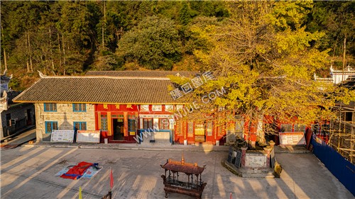 东山禅院院内的千年银杏树