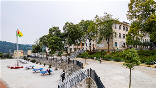 校园内林荫大道-五里中学