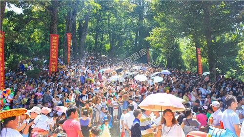 崇木凼古树林人山人海-2015隆回花瑶讨僚皈活动