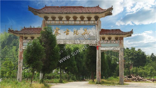 花瑶古寨-崇木凼古树林