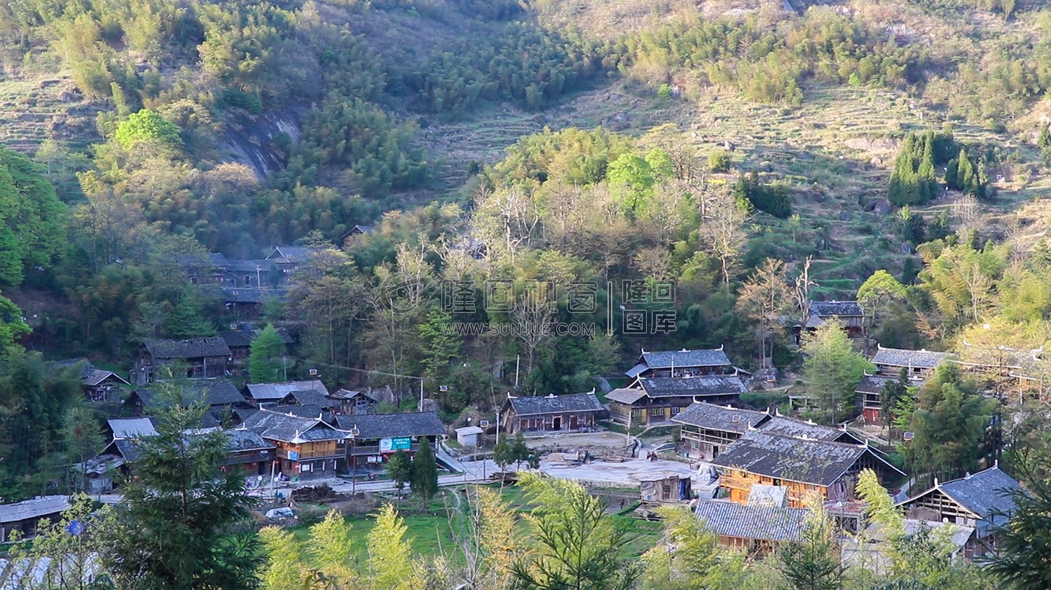 崇木凼古树林-花瑶古寨