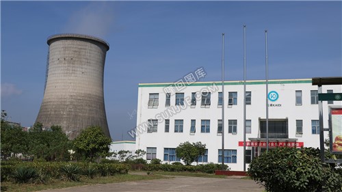 隆回凯迪生物发电厂