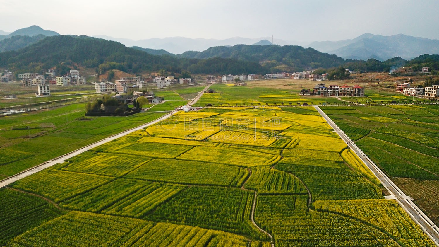 魏源故居的油菜花开了