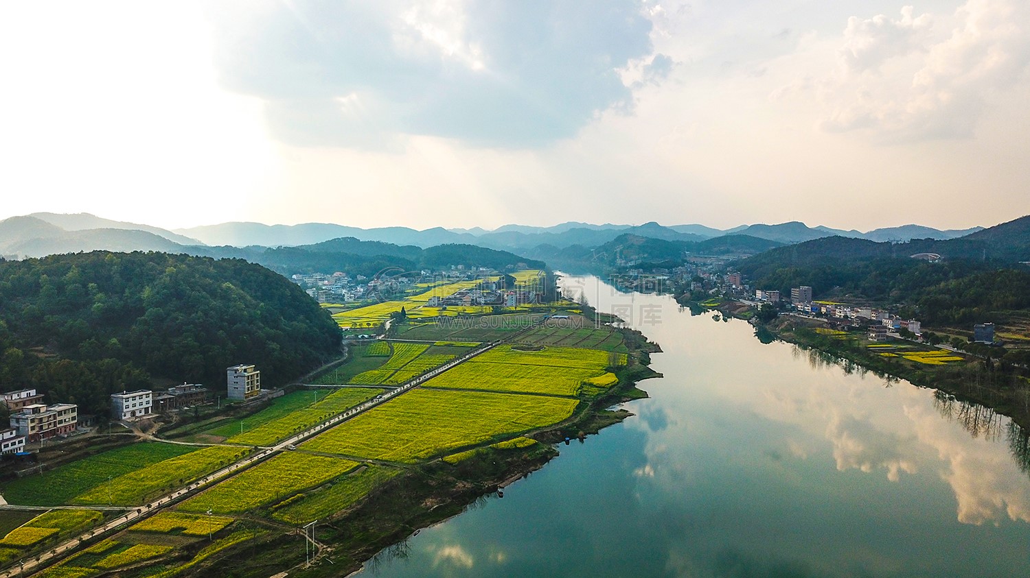 沙坪油菜花开了