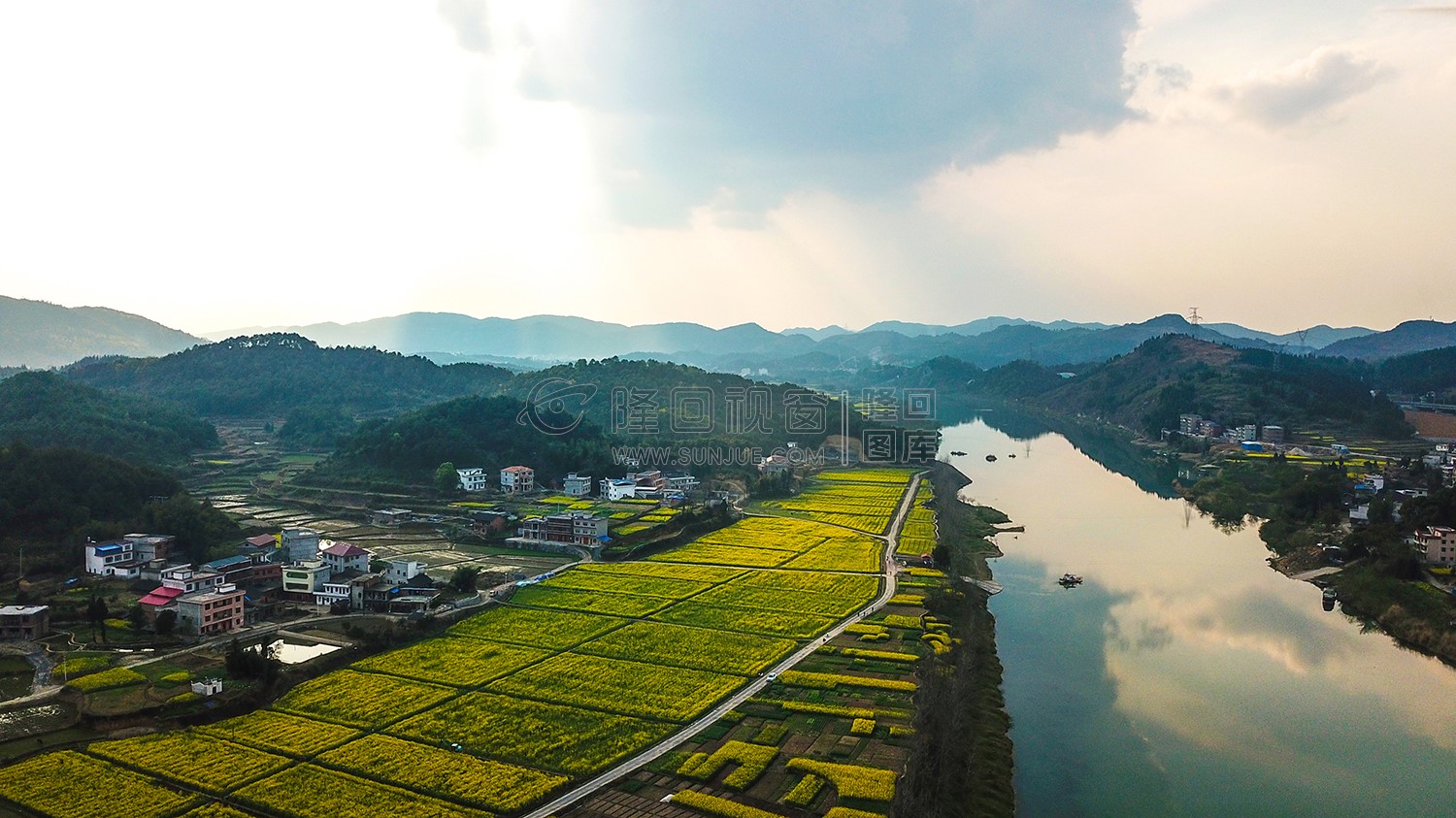 沙坪油菜花开了