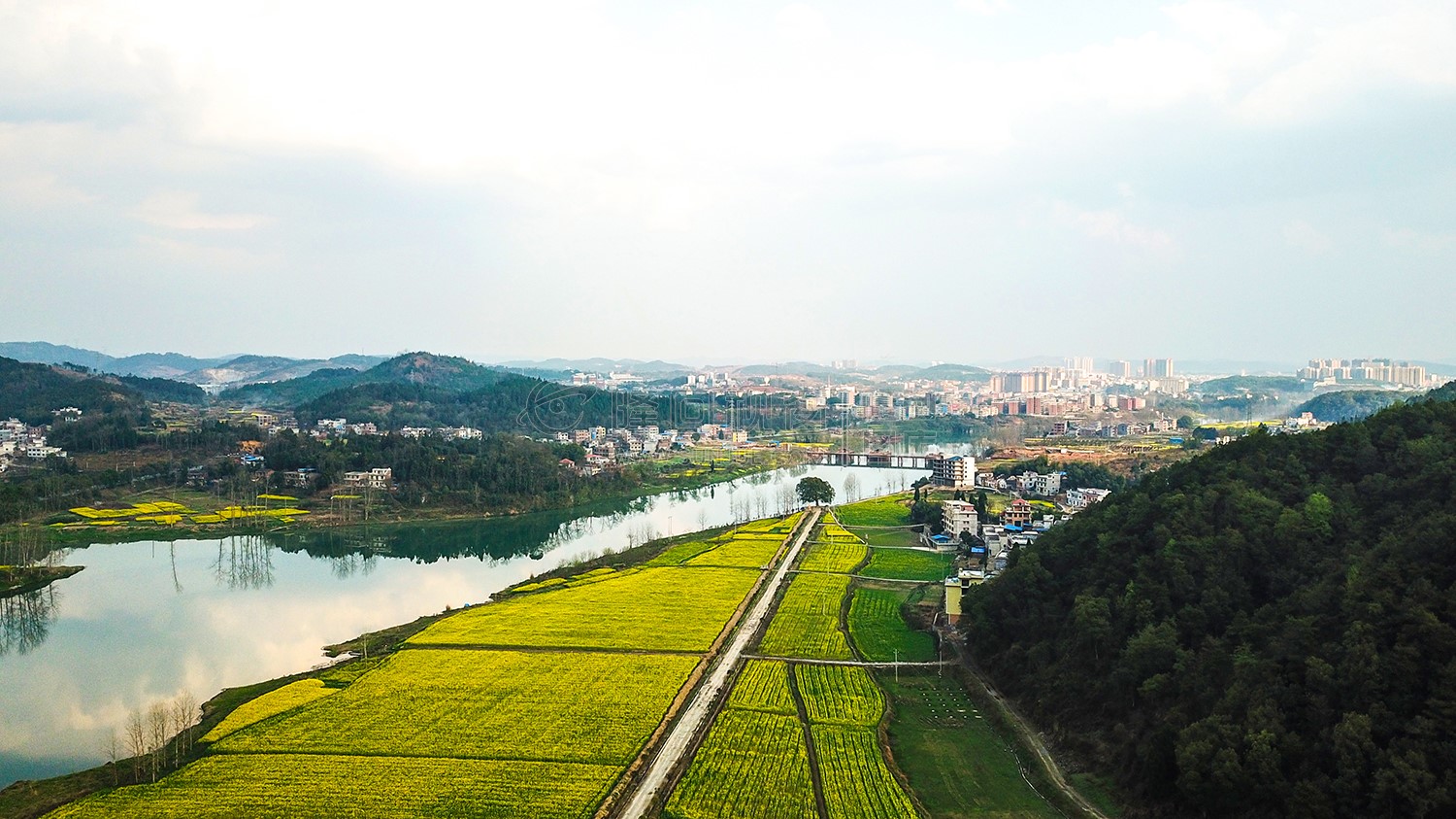 沙坪油菜花开了
