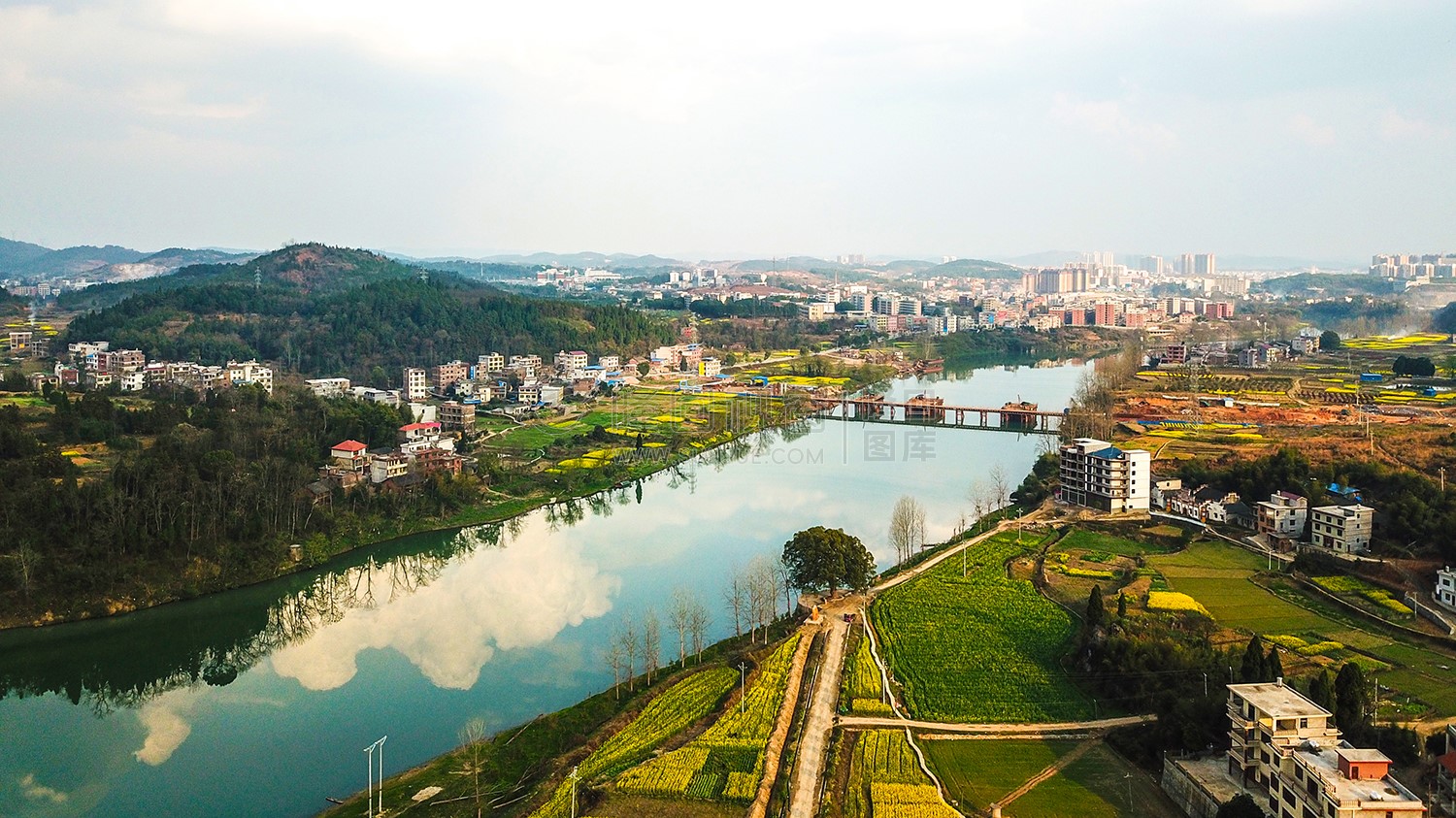 沙坪油菜花开了