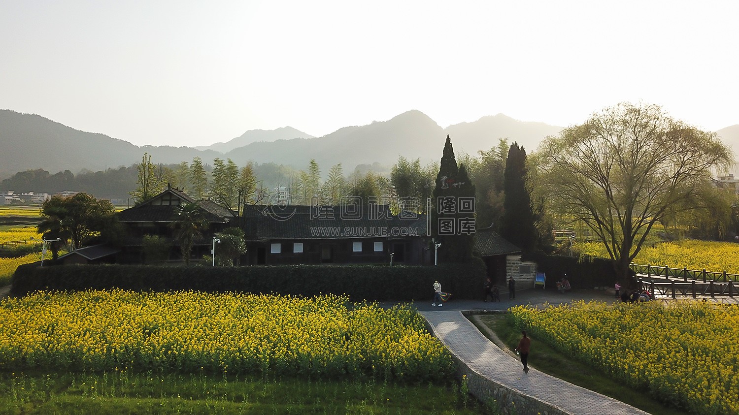 魏源故居的油菜花开了