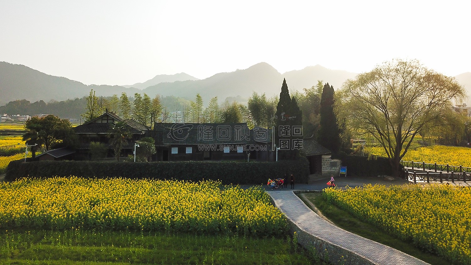 魏源故居的油菜花开了