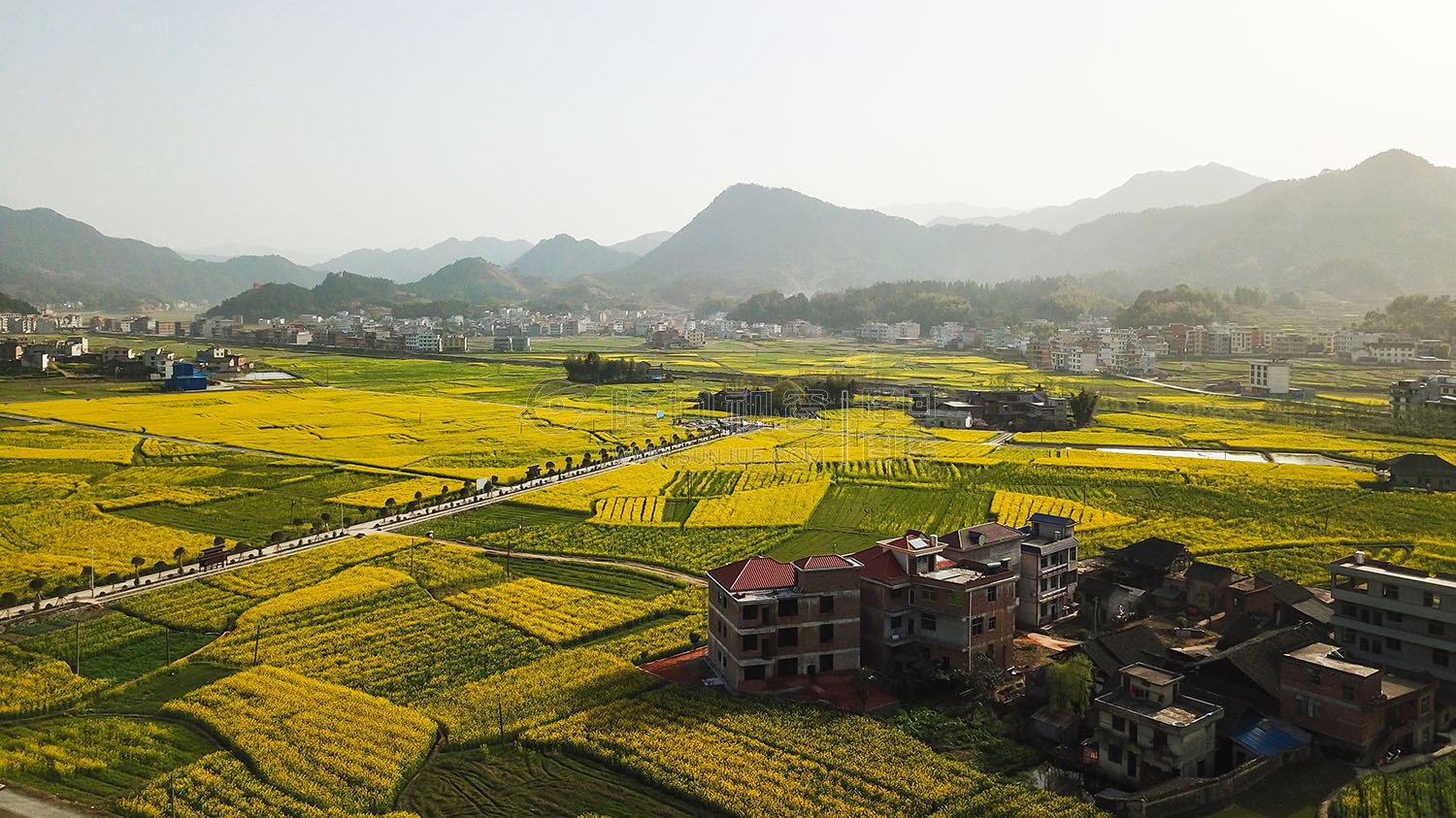 魏源故居的油菜花开了