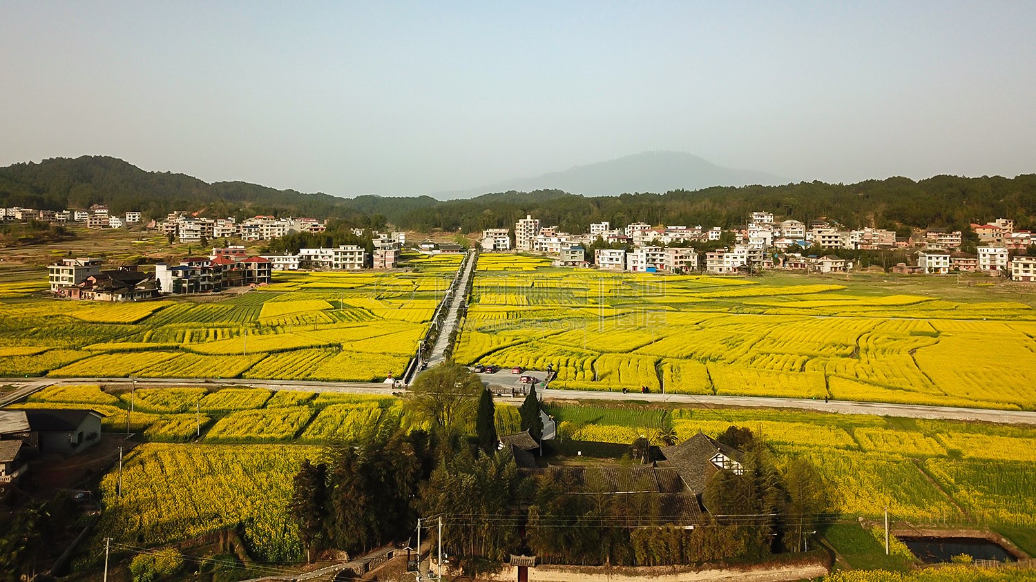 魏源故居的油菜花开了
