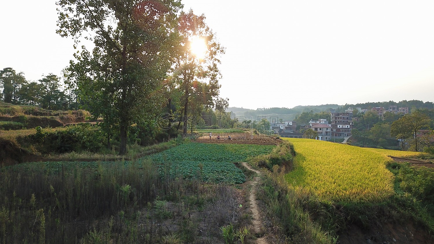 石笋寨-一座像春笋的石山