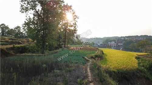 石笋寨-一座像春笋的石山