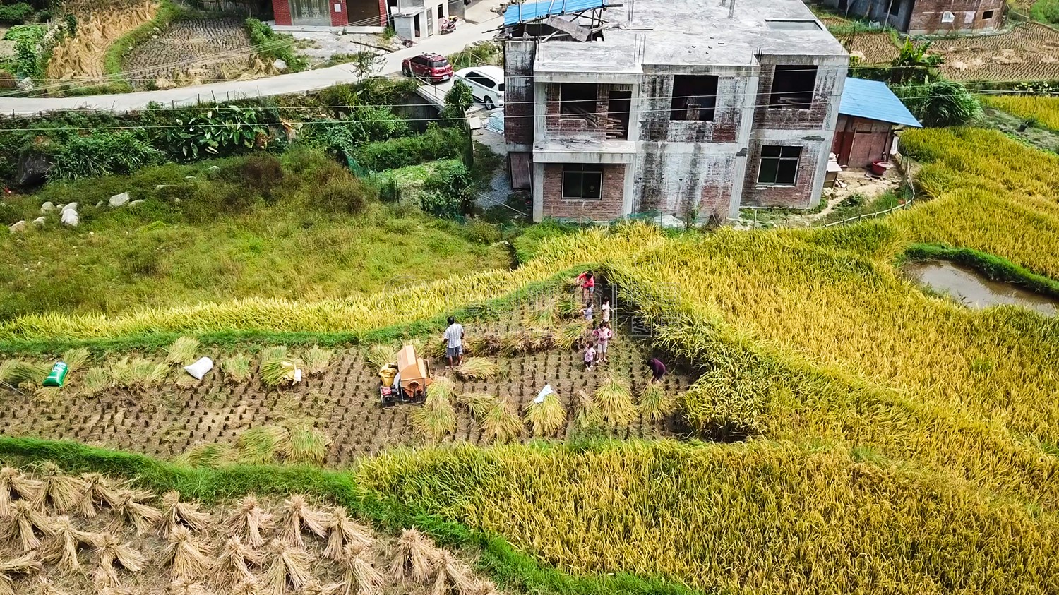 石桥铺秋收季节