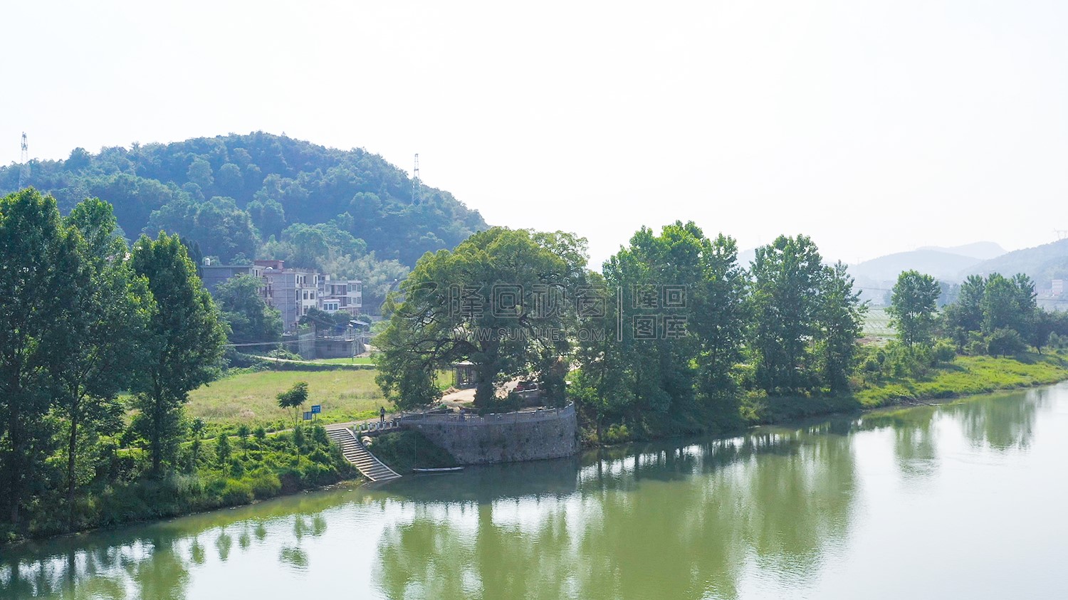 赧水河畔-沙坪古樟-隆回最大的樟树！