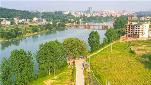 沙坪古樟-隆回最大的樟树！