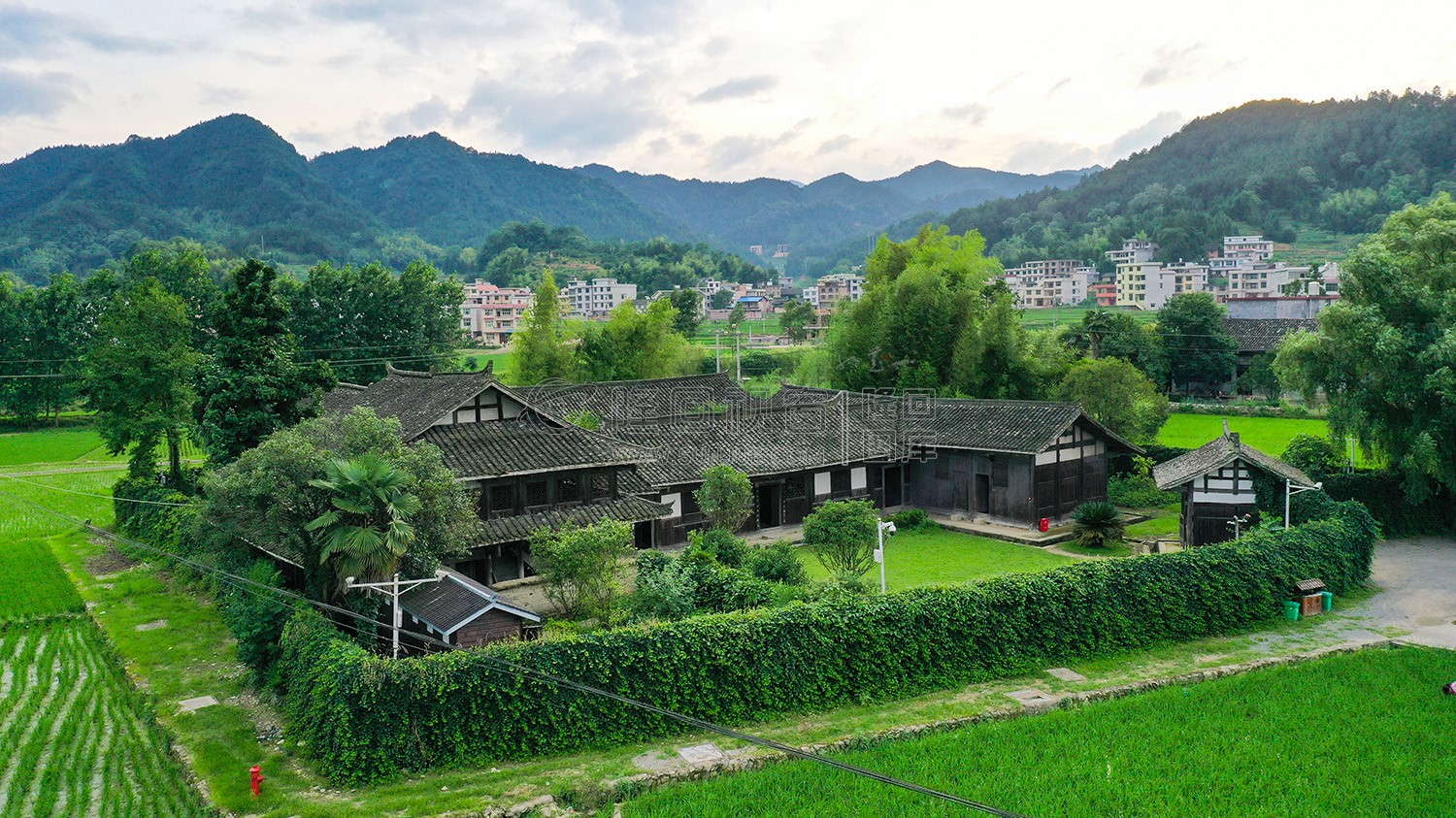 魏源故居-一组夏季稻田照片