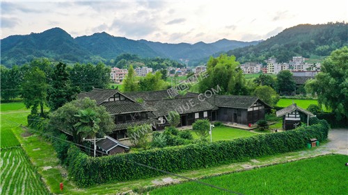 魏源故居-一组夏季稻田照片