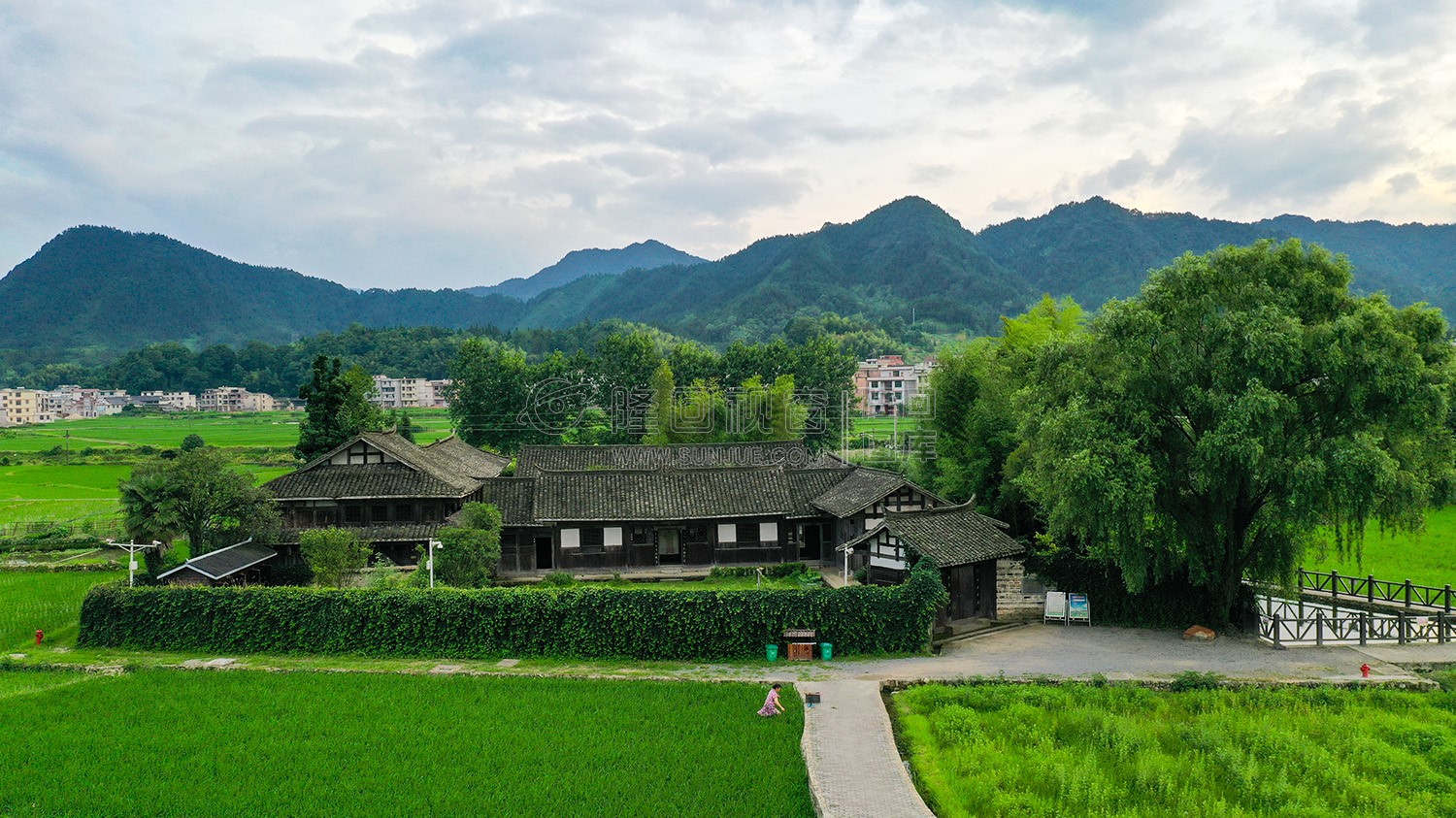魏源故居-一组夏季稻田照片