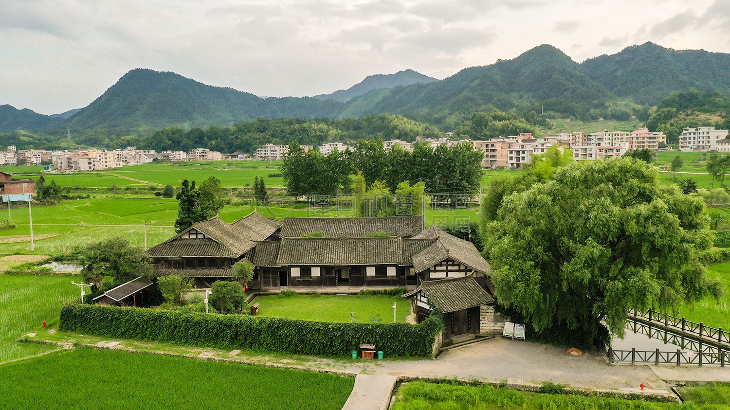 魏源故居-一组夏季稻田照片
