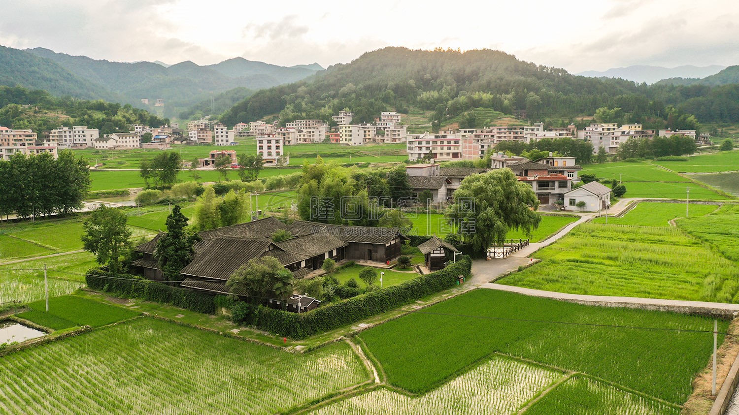魏源故居-一组夏季稻田照片