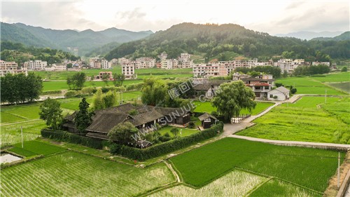 魏源故居-一组夏季稻田照片