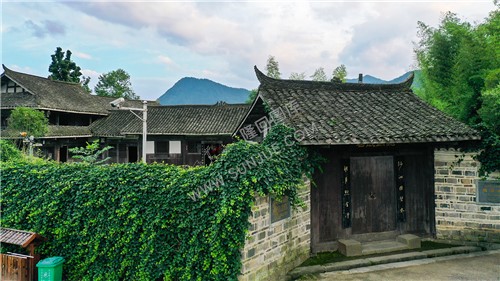 魏源故居-一组夏季稻田照片