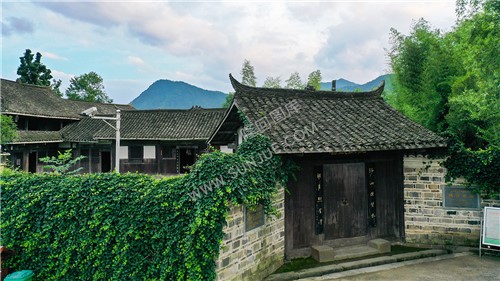 魏源故居-一组夏季稻田照片