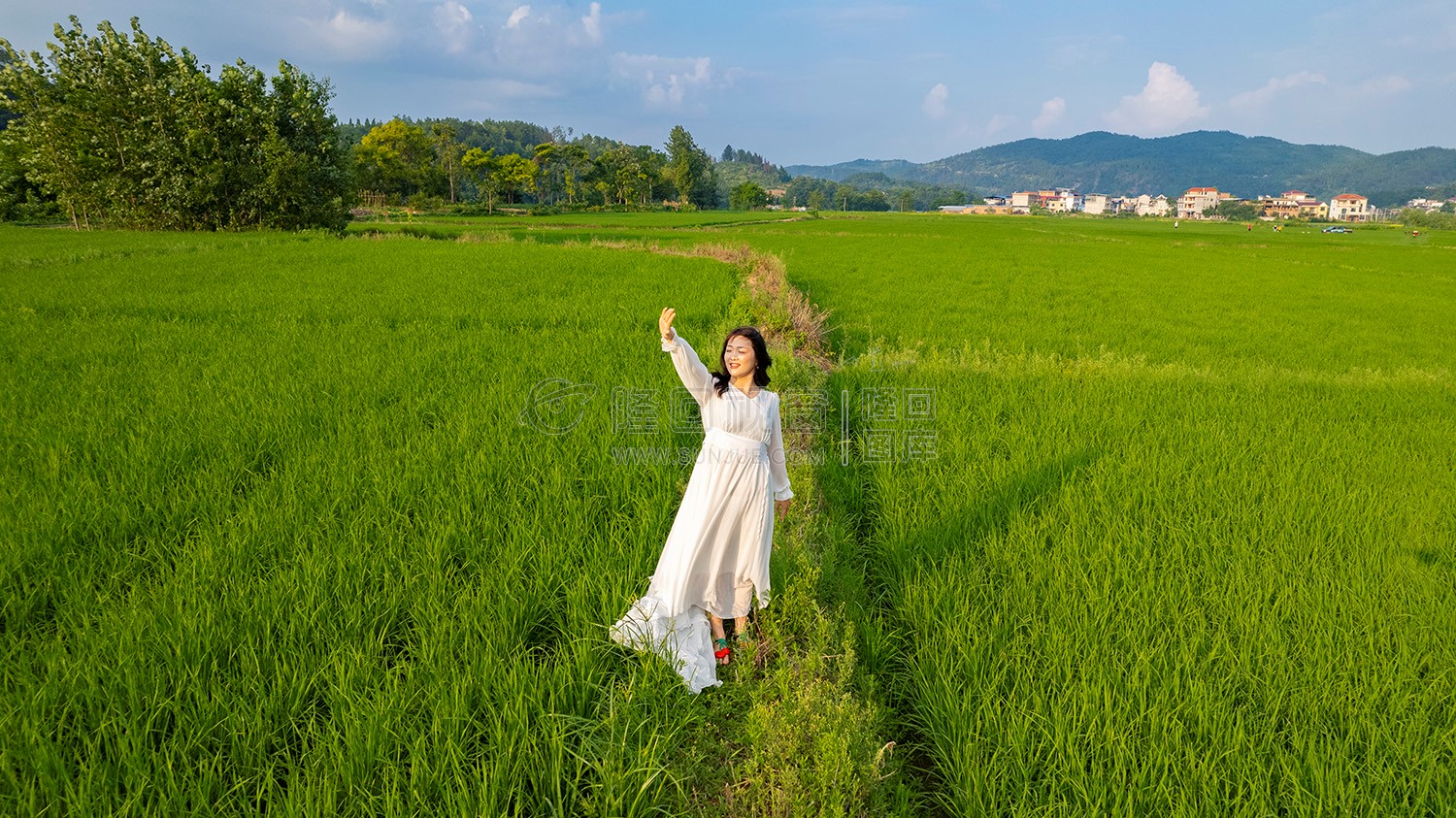 大磨洲的一组稻田人物风光照