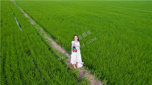 田园风光人像照