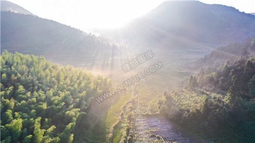 清晨一缕缕阳光-花瑶古寨假日山庄
