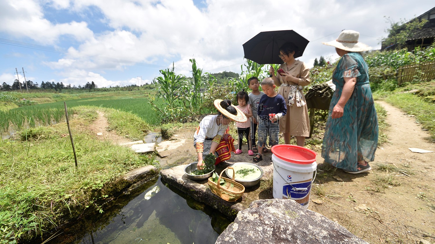 挼搓叶子-神仙豆腐