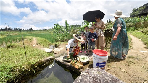 挼搓叶子-神仙豆腐