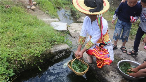井水里清洗干净-神仙豆腐