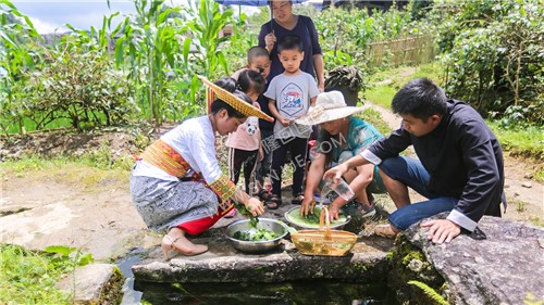 挼搓叶子-神仙豆腐