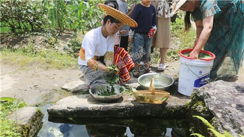 捣碎叶子-神仙豆腐