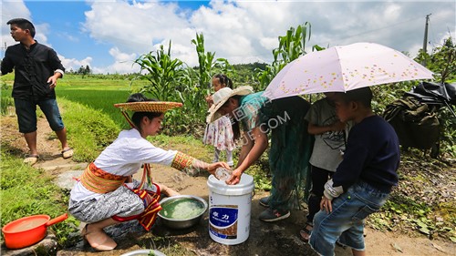 加入草木灰水-神仙豆腐