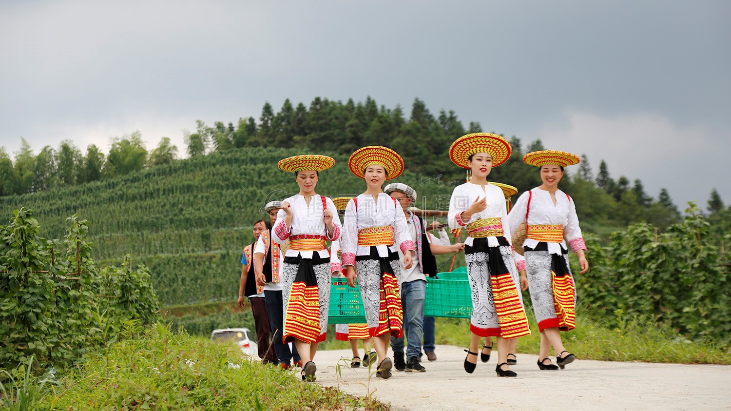 崇木凼蔬菜种植基地
