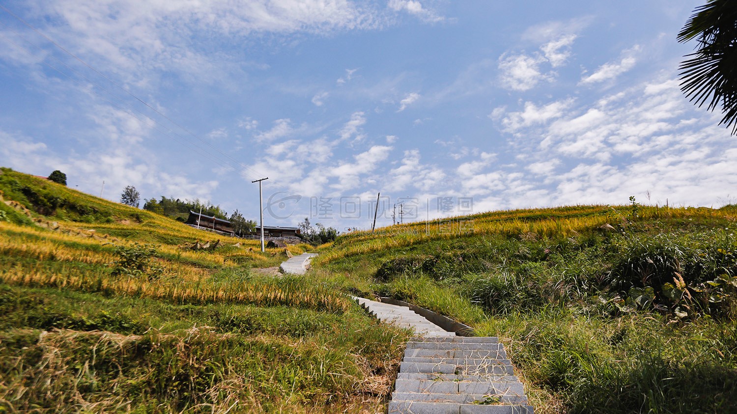 梯田中的旅游观光道