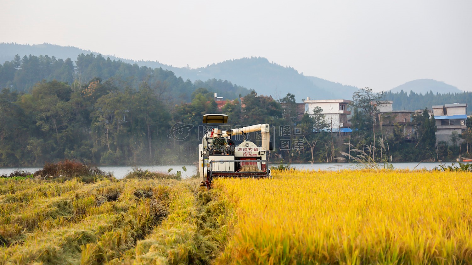 秋收季，一组乡村田园风光图