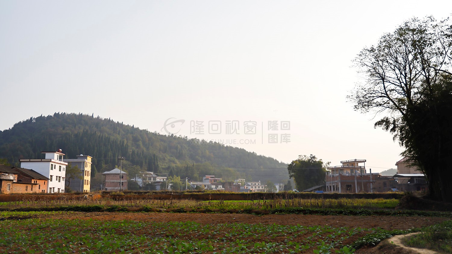 秋收季，一组乡村田园风光图