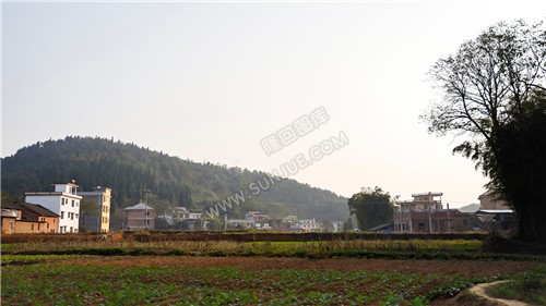 秋收季，一组乡村田园风光图