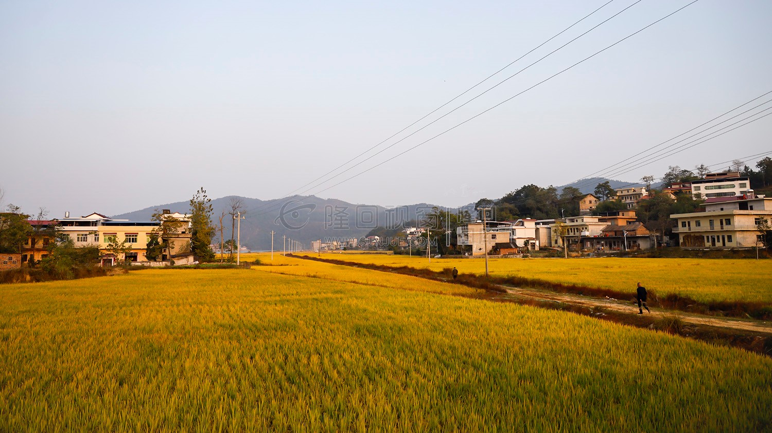 秋收季，一组乡村田园风光图