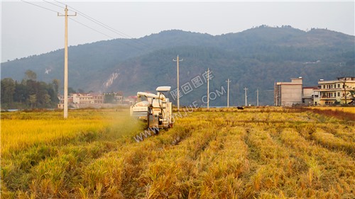 收割机秋收