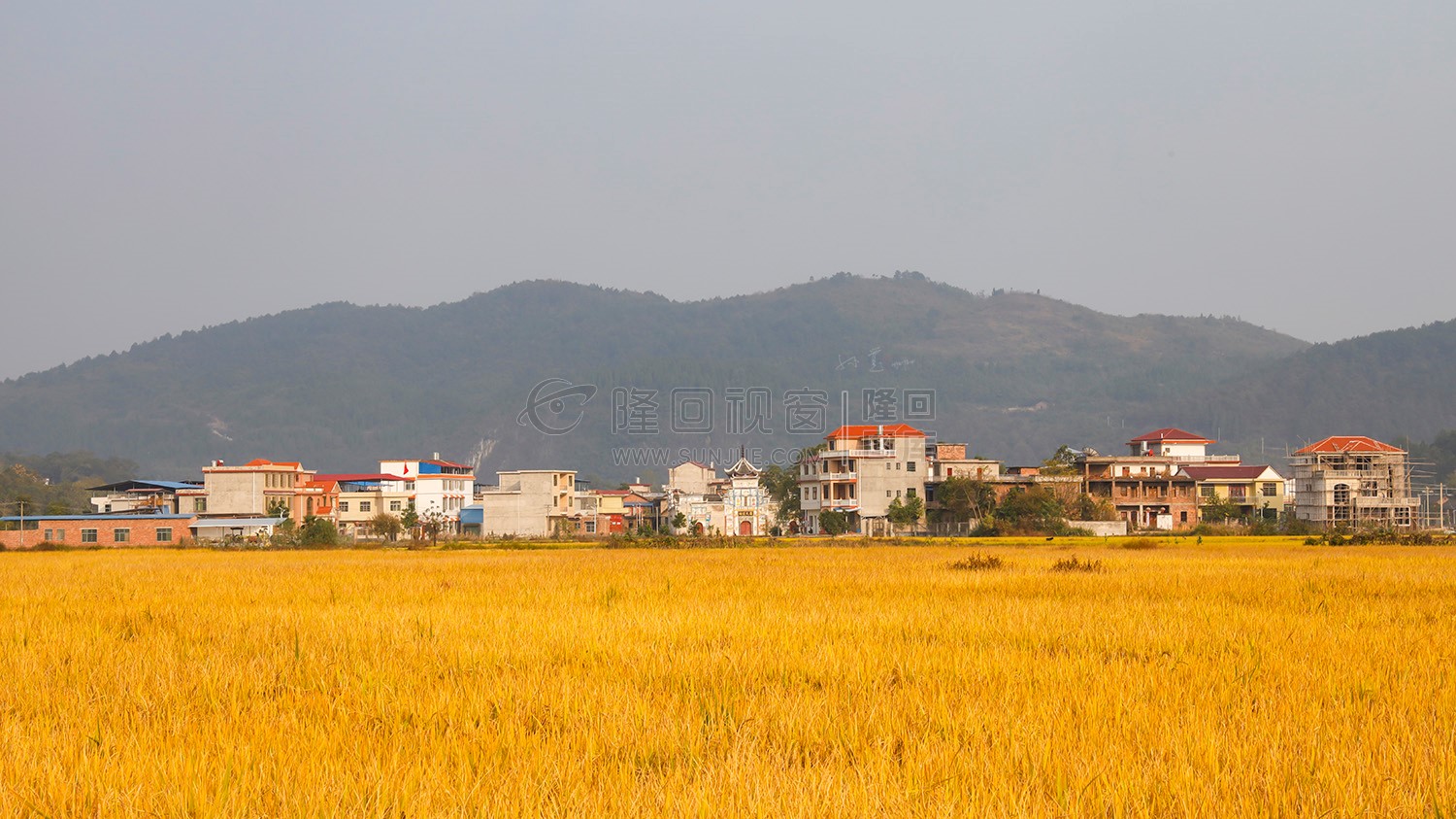 乡村田园风光图