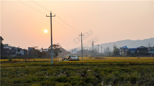夕阳西下，收割机还在忙碌着，秋收季