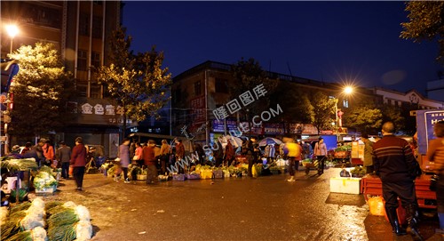 大葱、白菜等品类众多